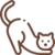 Zvířata