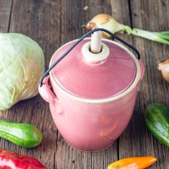 Nádoba na kvašení zeleniny Pickles - starorůžová lesklá