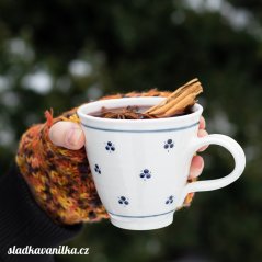 Směs koření na svařák