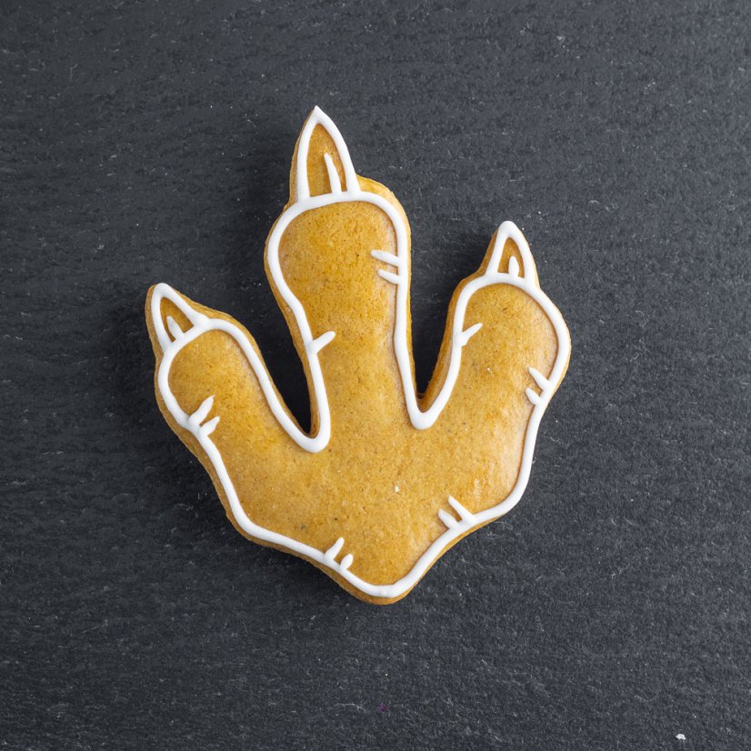 Vykrajovátko stopa dinosaura